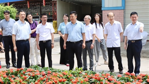 自治區(qū)政協(xié)常委、梧州市政協(xié)主席黃振饒蒞臨百裕集團(tuán)走訪調(diào)研